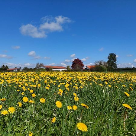 Ildhu Inn Kvaerndrup Exteriér fotografie