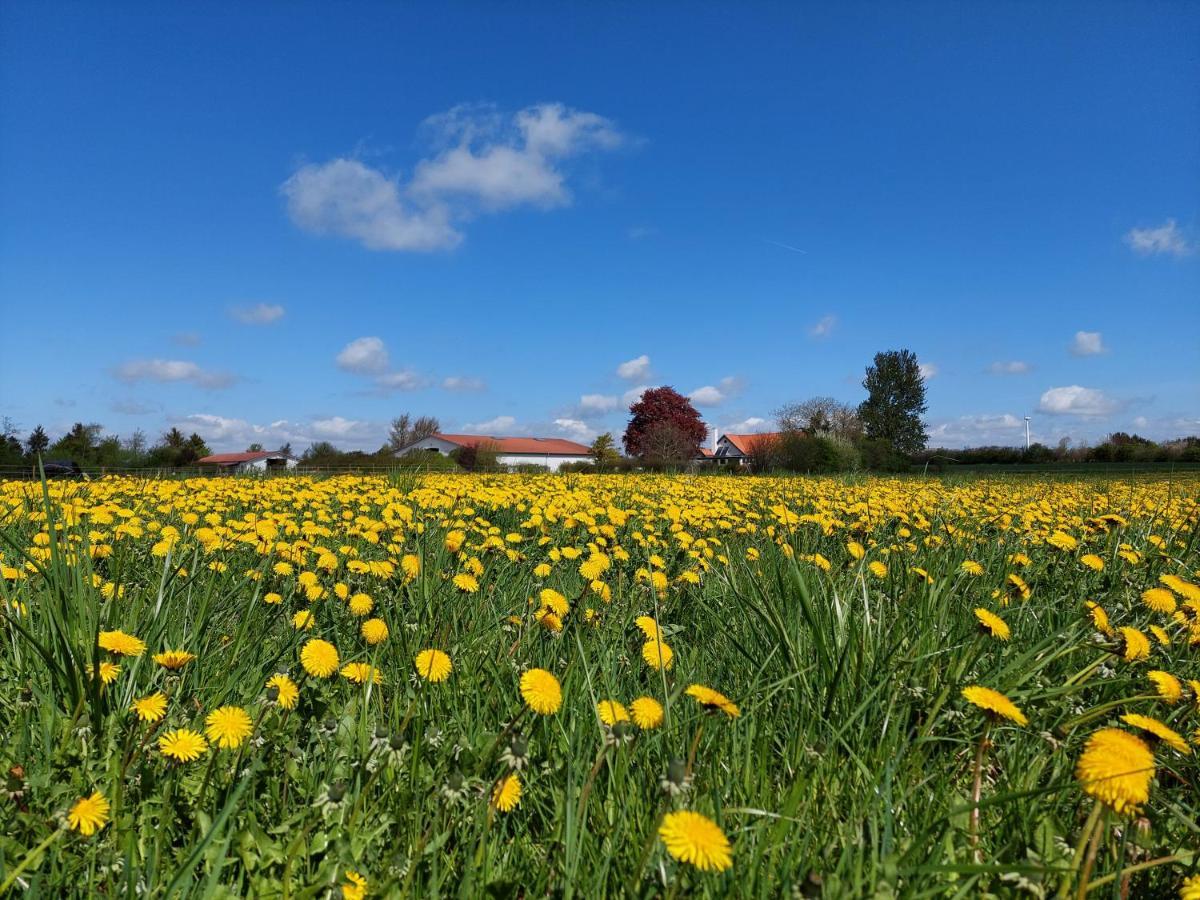 Ildhu Inn Kvaerndrup Exteriér fotografie